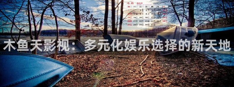 狂飙全能影视：木鱼天影视：多元化娱乐选择的新天地