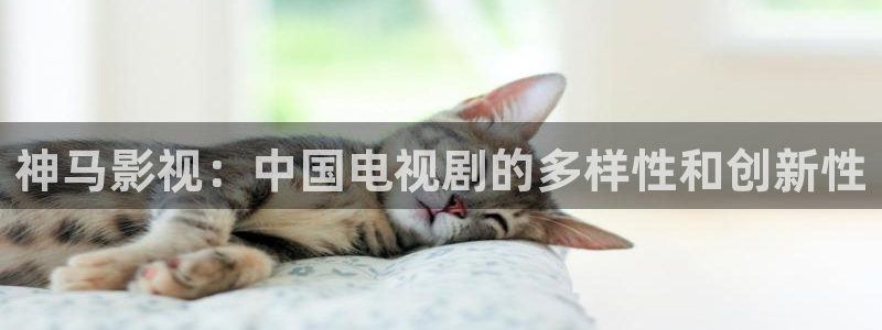 全能电影网：神马影视：中国电视剧的多样性和创新性