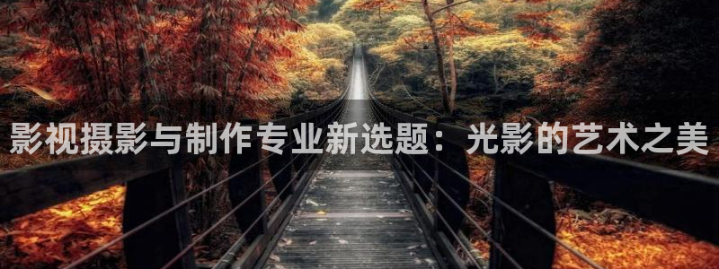 全能影视在线播放：影视摄影与制作专业新选题：光影的艺术之美