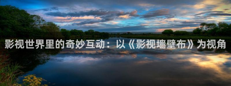 全能影视在线看：影视世界里的奇妙互动：以《影视墙壁布》为视角