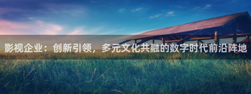 全能影视大全电视剧：影视企业：创新引领，多元文化共融的数字时代前沿阵地
