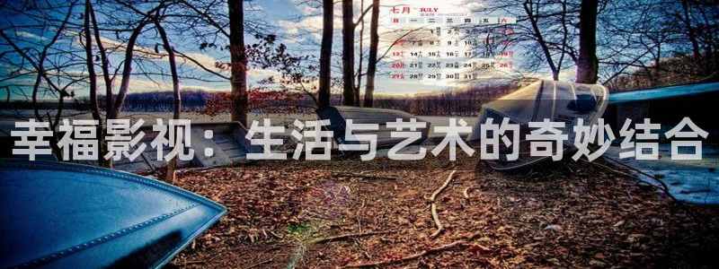 全能的影视：幸福影视：生活与艺术的奇妙结合