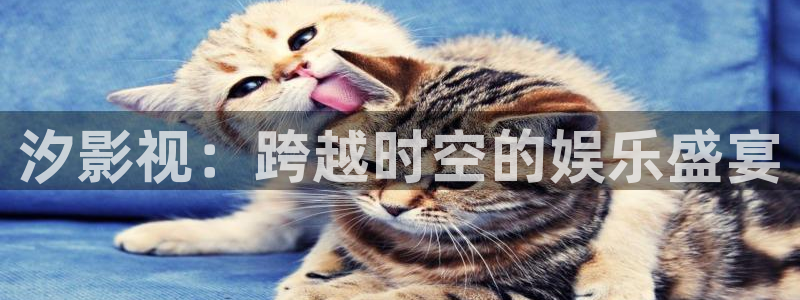 全能漫画：汐影视：跨越时空的娱乐盛宴