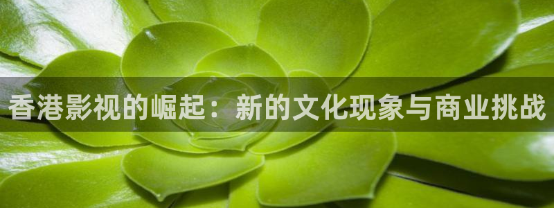 全能影视最新版：香港影视的崛起：新的文化现象与商业挑战